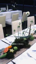 -CHOCO-启蔻婚礼(三亚公司)