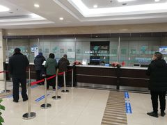 -上海大学附属上海和平眼科医院