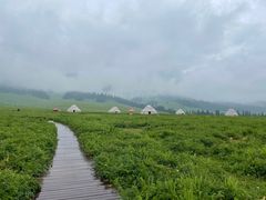 -新疆那拉提国家旅游度假区