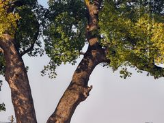 -乌龙涧铁道铁轨景