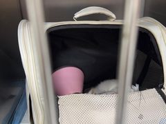 -联合动物医院(光谷诊疗中心)