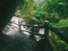 -张醪糟