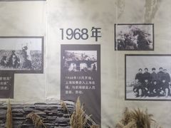 -大丰知青农场