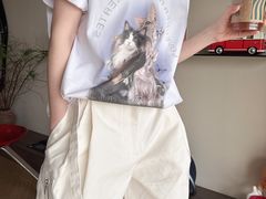 -岭南站NOVA