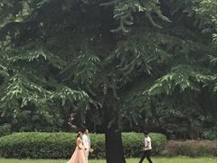 -河南省黄河迎宾馆