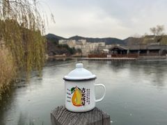 -古北烤梨