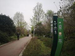 -桤木河湿地公园