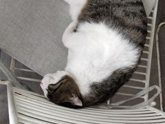 -UNIUNI(凯瑟琳广场店)