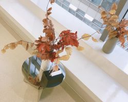 -SalonRivelin 沙龙瑞菱