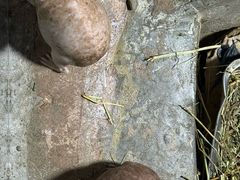 -福州罗源湾海洋世界旅游区