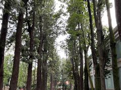 -西昌邛海宾馆