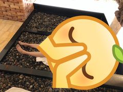 -汤里来温泉