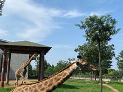 -石家庄市动物园