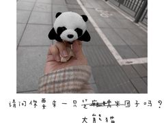 -成都大熊猫繁育研究基地