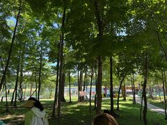 -长白山万达锦华套房酒店