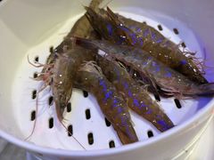 -苏大嘴蒸汽海鲜·海胆蒸饺(中山广场店)