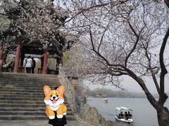 -颐和园
