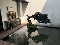 -觀芷隐轩