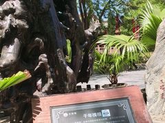 -大槐树寻根祭祖园