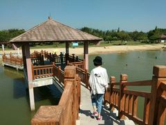 -鹤之洲湿地公园