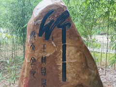-蔡伦竹海