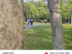 -福田红树林生态公园