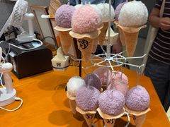 -野人先生现做冰淇淋(北京环宇荟店)