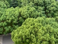 -上海交通大学医学院附属瑞金医院(总院)