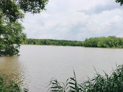 -大湾区中央湿地公园