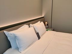 -南京THE TAI太和紫金大酒店