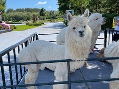 -北京野生动物园