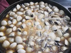 -顺德哥卜卜贝(旗舰店)