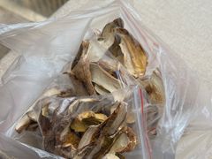 -蘑统田下·野生菌火锅