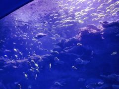 -欢乐海岸海洋奇梦馆
