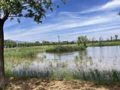 -野鸭湖国家湿地公园