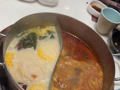 -洪氏嗨捞·猪肚鸡火锅(阳光天地店)