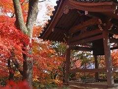 -常寂光寺