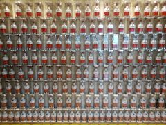 -老淳安—伴山伴湖(千岛湖开元度假村店)