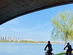 -九龙湖公园