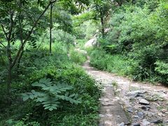 -碓臼峪自然风景区