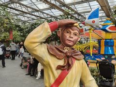 -南宫五洲植物乐园