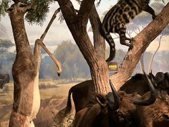 -陕西自然博物馆