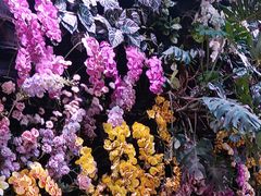 -正佳雨林生态植物园