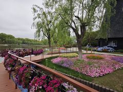 -上海鲜花港