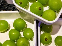 -北京海德酒店温泉