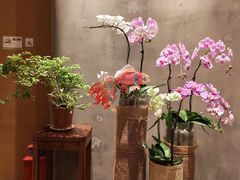 -若蘭慈·无国界素食料理(欢乐海岸店)