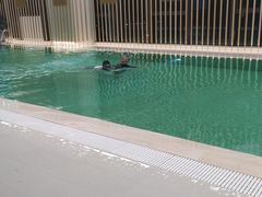 -优享健身(三元桥店)