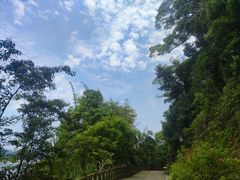 -广州市流溪河国家森林公园