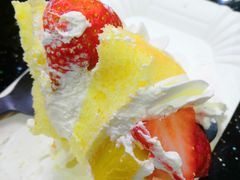 -糕小爱动物奶油生日蛋糕定制(晋江万达店)