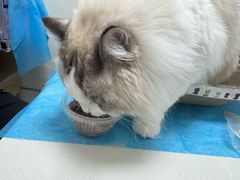 -达爱动物医院·犬猫分区·CT·复杂眼科(远洋山水分院)